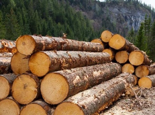 Уряд змінює законопроєкт про скасування мораторію на експорт лісу-кругляка