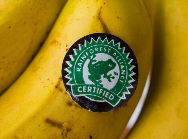 Що означає позначка — жаба на продуктах: чи є щось приховане у такій їжі Що означає позначка — жаба на продуктах: чи є щось приховане у такій їжі