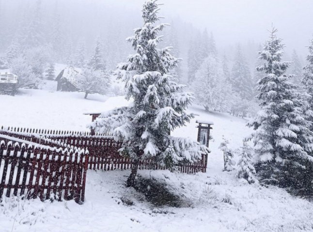 В горах подекуди почало сніжити. У мережі публікують фото зими посеред квітня