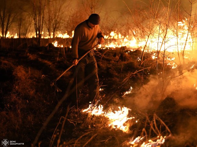 В області вирішували, як зменшити підпали трави: що не можна робити