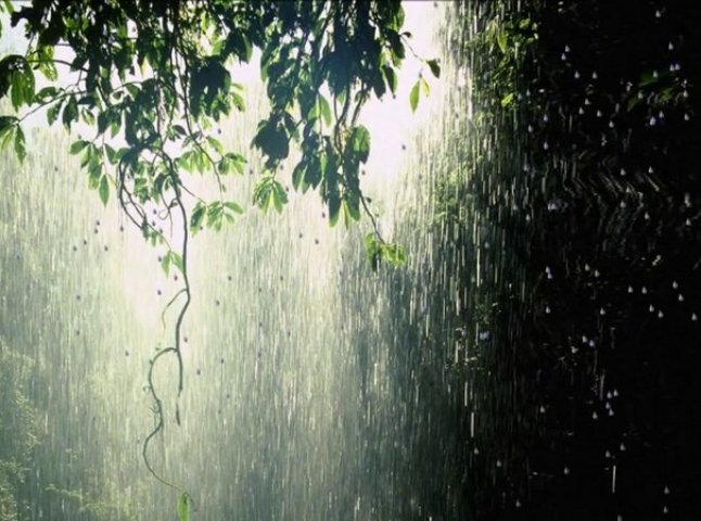 Дощі щодня: синоптики розповіли, якою буде погода цього тижня