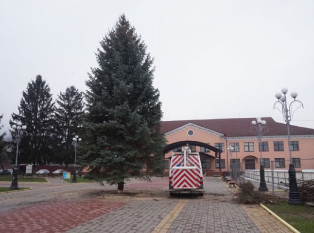 У Тячеві встановили новорічну ялинку: святкове деревце місту подарували приватні підприємці