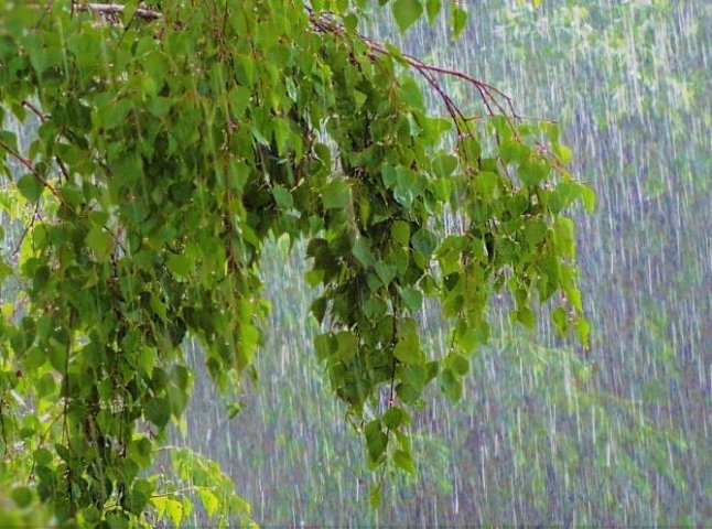 У Закарпатській області очікується погіршення погоди: синоптики прогнозують дощі з градом