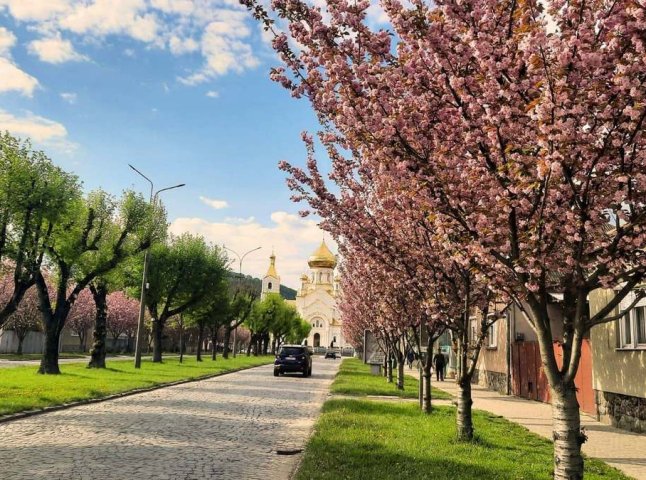 Коли учні Мукачівської громади мають йти в школу: уточнено графік канікул