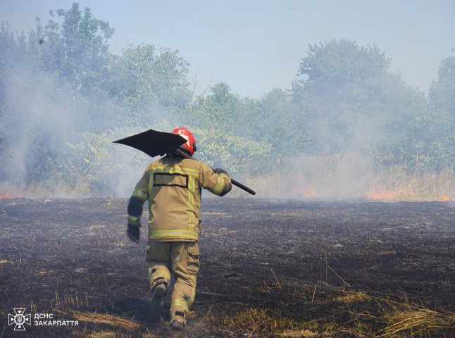 Жителі області продовжують підпалювати сухостій. Рятувальники б’ють на сполох
