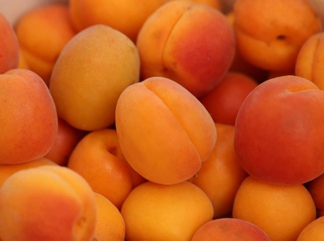 Скільки коштують перші абрикоси: ціни 2024 року відчутно відрізняються від минулорічних
