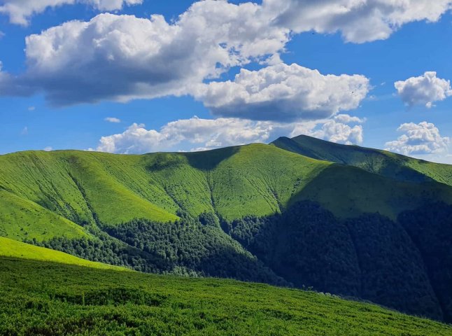 АРМА ухвалило остаточне рішення щодо продажу Льовочкіну землі на Боржаві