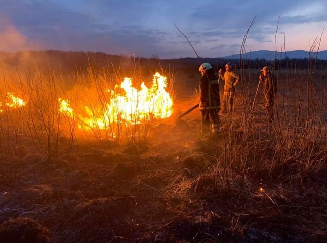 За вихідні на Закарпатті сталися 34 пожежі в екосистемах