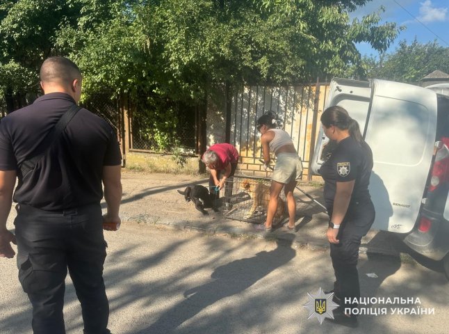 В Ужгороді вилучили кількох агресивних собак, які нападали на людей