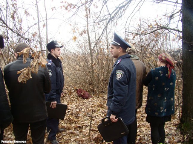 У лісосмузі поблизу села Куштановиця знайшли тіло 5-річної дитини, яку три дні шукала міліція