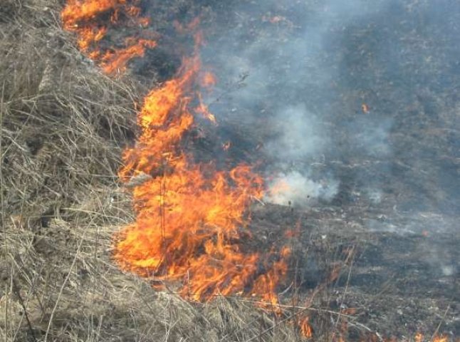 Через спалювання сухої трави ледь не згоріла надвірна споруда на Мукачівщині