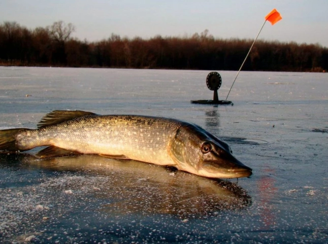 Закарпатців просять дотримуватись заборони, яку вводять з 15 лютого