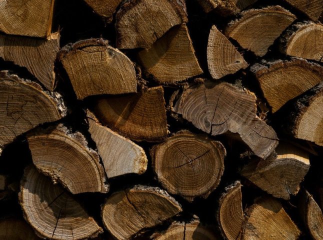 Стосується ціни на дрова: схвалили важливе рішення для населення