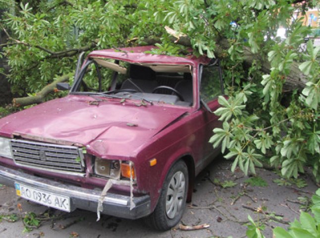 Внаслідок вчорашньої грози, в Ужгороді від падіння дерев постраждали три автомобілі