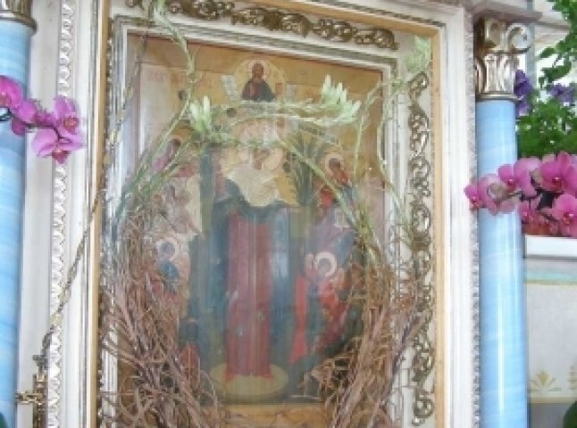 У Мукачеві біля ікони Божої Матері ожили сухі квіти (ФОТО)