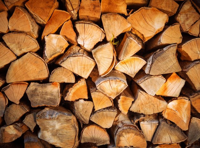 Дрова тепер продають за новою ціною: яка вартість та де найдешевші