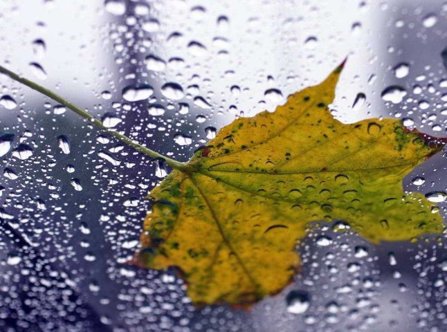Очікуються дощі та похолодання: погода на заході країни погіршиться