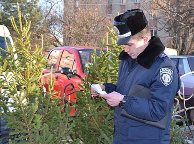 В Ужгороді міліція спільно з журналістами провела рейд "Ялинка" 