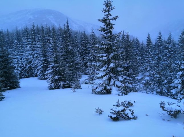 У Карпатах випало до метру снігу: закарпатцям радять утриматись від походів на високогір’я
