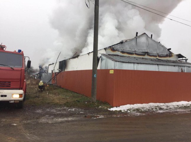 Рятувальники оприлюднили відео з місця резонансної пожежі в Оноківцях
