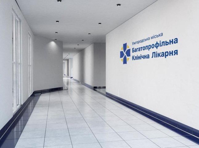 Назловживала на півмільйона гривень: на Закарпатті викрили схему посадовиці