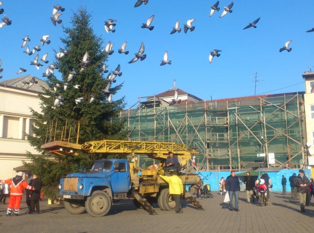 В Ужгороді прикрашають новорічну ялинку