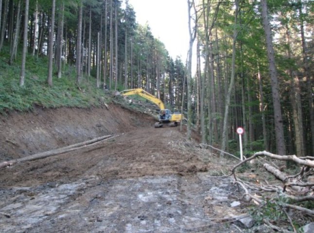 Прокуратура порушила кримінальне провадження щодо завищення вартості виконаних робіт при будівництві лісових доріг