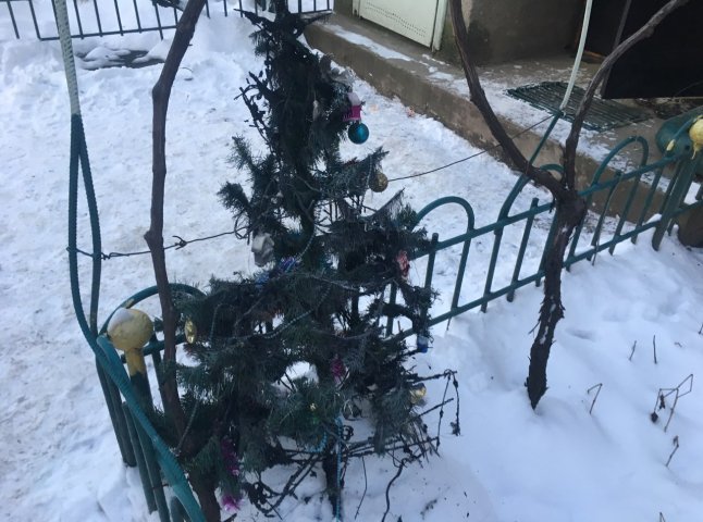 У Мукачеві горіла новорічна ялинка: врятовано хлопця
