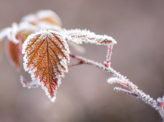 На область насуваються морози: коли зміниться погода та можливий мокрий сніг