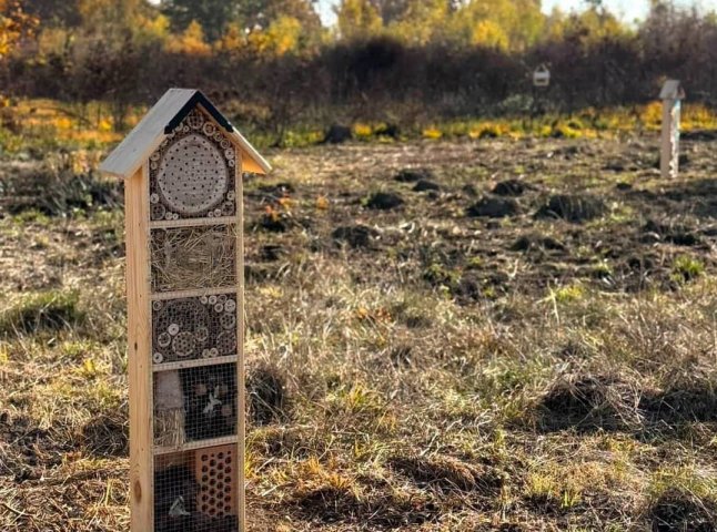Новий туристичний маршрут «Буштинський ЕкоШлях» відкрили на Закарпатті