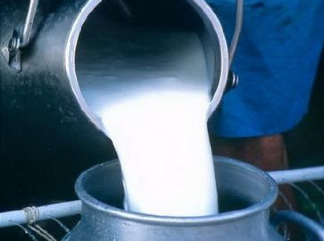 На Закарпатті надходження молока на переробні підприємства знизилось на 67,4%