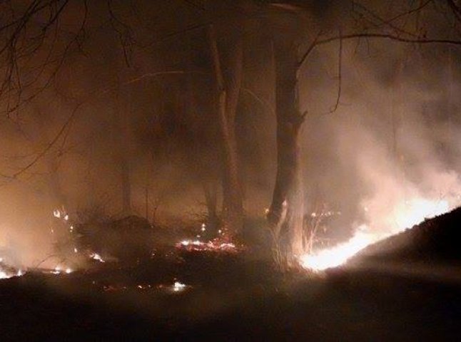 В одному з мікрорайонів Ужгорода палає ліс