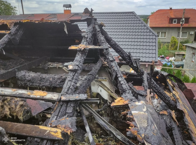 Хотіли «випалити» шершнів: подробиці пожежі на Хустщині