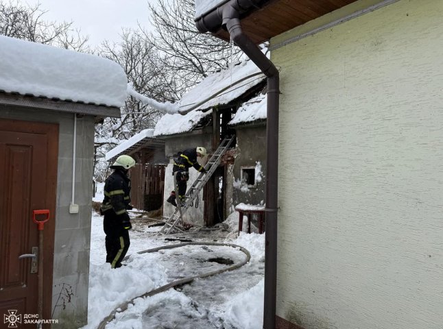 Рятувальники розповіли про випадок, який стався в одному із селищ