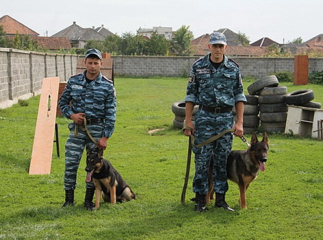 Закарпатець подарував місцевій міліції елітних службових собак (ФОТО)