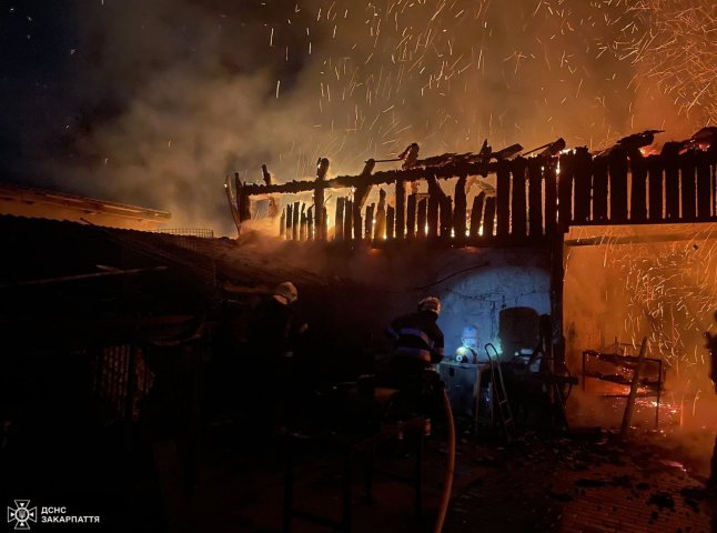 Господарі міцно спали: на Тячівщині спалахнула споруда з 2 тоннами сіна