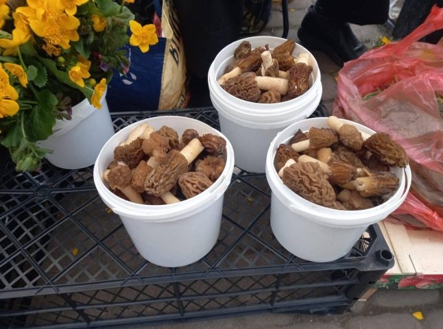 На ринках Ужгорода продають перші весняні гриби: які саме та скільки коштують