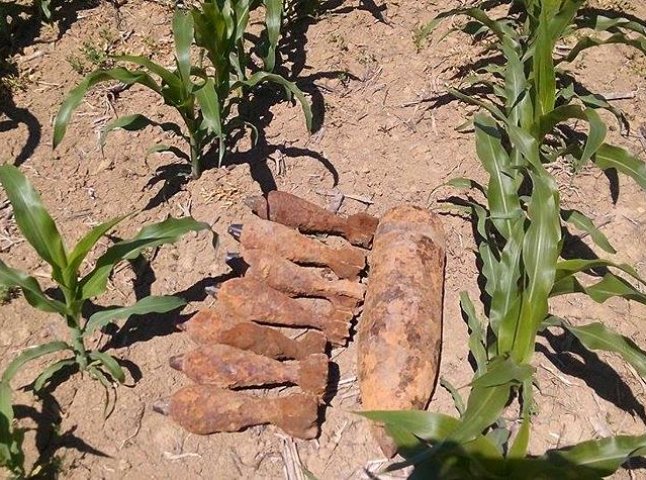 Посеред поля кукурудзи на Ужгородщині виявили вибухонебезпечні предмети