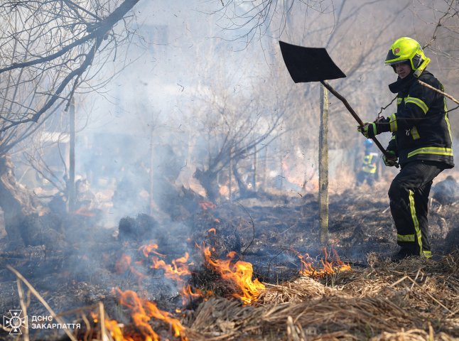 Кількість загорянь збільшується: з початку року в екосистемах краю зафіксували 570 пожеж