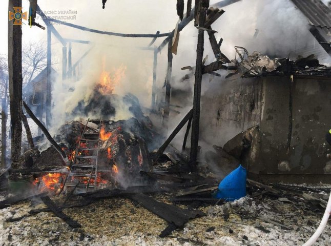 У селі на Берегівщині спалахнула пожежа