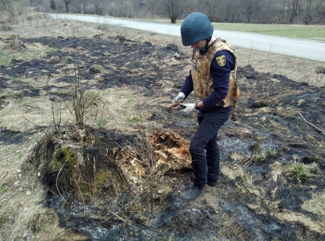 У селі Мукачівського району виявили вибухонебезпечні предмети