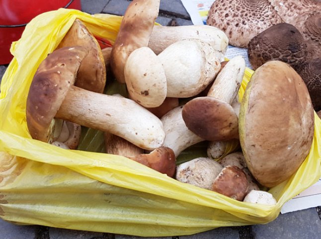 Білі гриби, опеньки та "зонтики": в Ужгороді активно продають чи не останні осінні дари природи