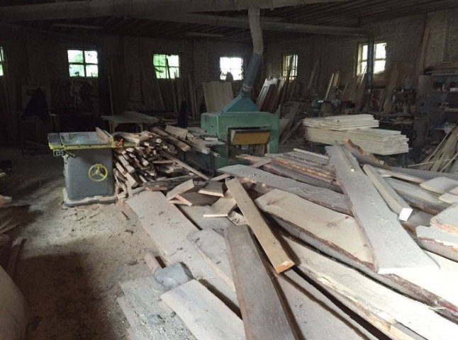 У ході обшуків на пилорамах Ужгородщини виявили деревину цінних порід без документів