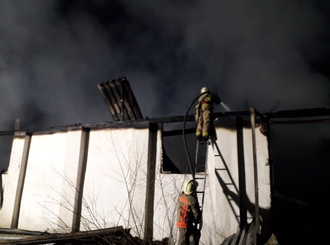 На Закарпатті пожежники впродовж 4 годин приборкували вогонь