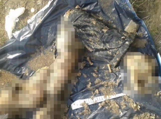 Моторошна знахідка в ужгородському кар’єрі: слідчі виявили рештки тіла людини