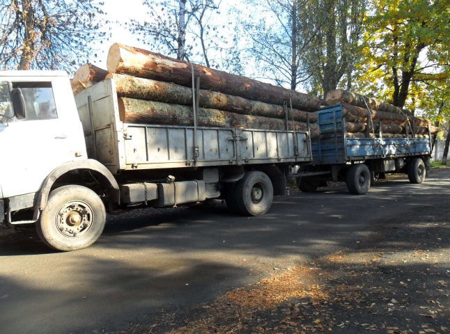 Обласні правоохоронці затримували вантажівки з незаконною деревиною