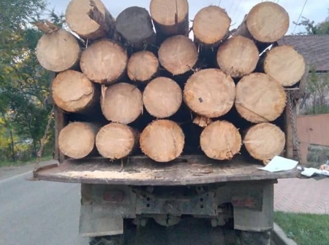 Поліція розслідує факт незаконного перевезення деревини