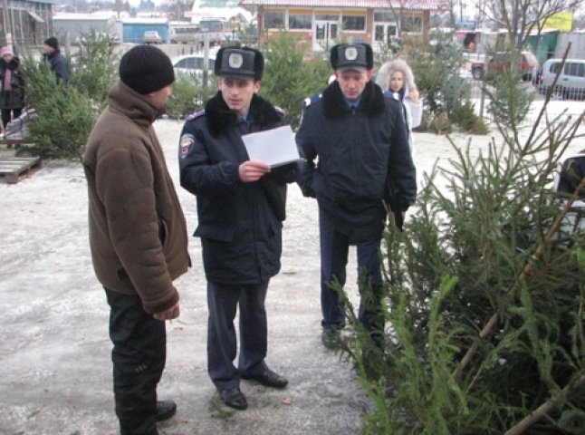 Закарпатська міліція буде боротись проти незаконної вирубки ялинок