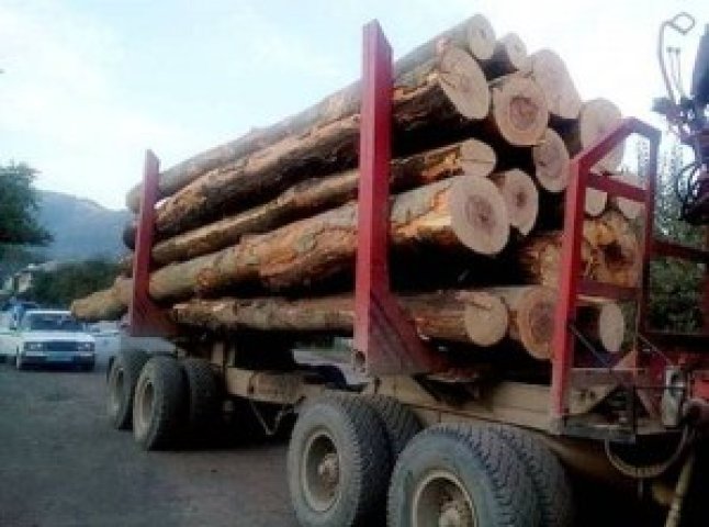 Прокуратура порушила кримінальне провадження за фактом виявлення вантажівки з вирубаними деревами