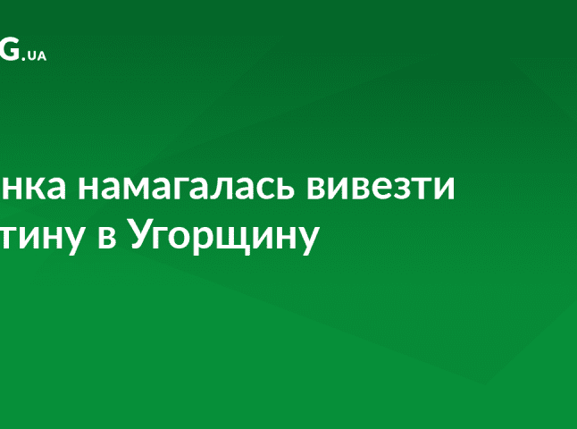 Українка намагалася вивезти до Угорщини 11-річну дитину за підробленим дозволом батька 